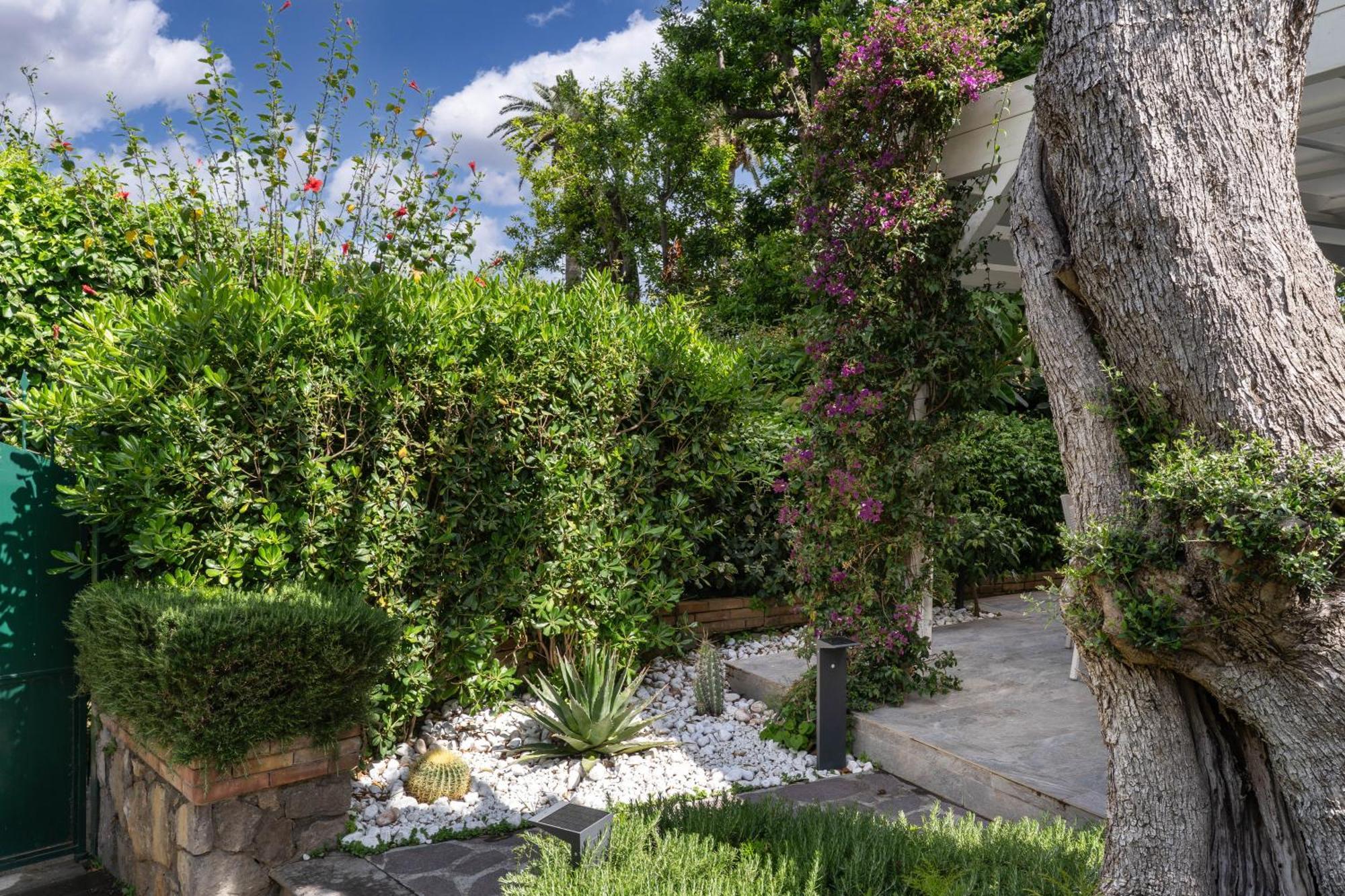Il Canto Delle Sirene Sorrento Exterior photo